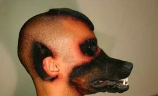 He Spent His Life Savings To Live As A Sheepdog. The Other 9 Transformations Are Even Wilder.